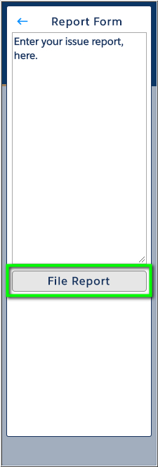 VO_Salesforce_Report_Problem_03_File_Report.jpg